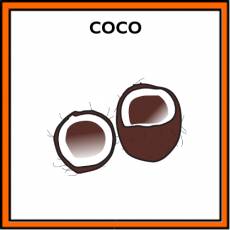 COCO - Pictograma (color)