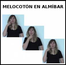 MELOCOTÓN EN ALMÍBAR - Signo