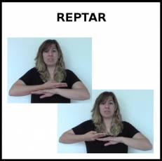 REPTAR - Signo