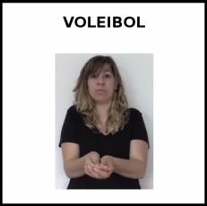 VOLEIBOL - Signo