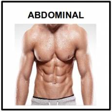 ABDOMINAL - Foto