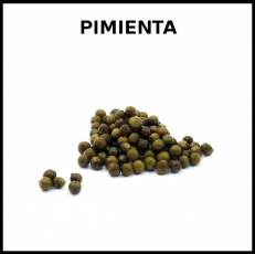 PIMIENTA - Foto