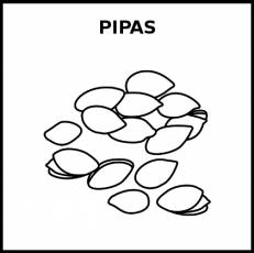 PIPAS (CALABAZA) - Pictograma (blanco y negro)