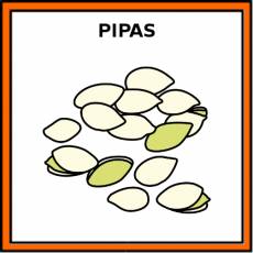 PIPAS (CALABAZA) - Pictograma (color)