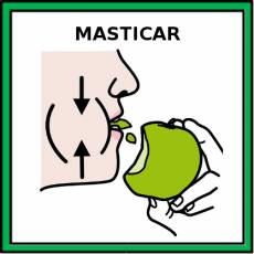 MASTICAR - Pictograma (color)