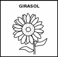 GIRASOL - Pictograma (blanco y negro)