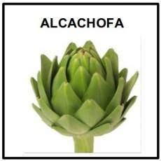 ALCACHOFA - Foto