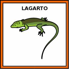 LAGARTO - Pictograma (color)