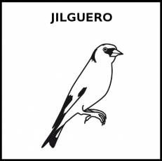 JILGUERO - Pictograma (blanco y negro)