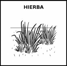 HIERBA - Pictograma (blanco y negro)