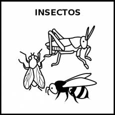 INSECTOS - Pictograma (blanco y negro)