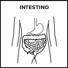 INTESTINO - Pictograma (blanco y negro)