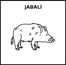 JABALÍ - Pictograma (blanco y negro)