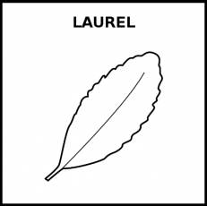 LAUREL - Pictograma (blanco y negro)