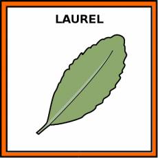 LAUREL - Pictograma (color)