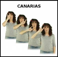 CANARIAS - Signo