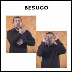 BESUGO (ANIMAL) - Signo