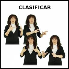 CLASIFICAR - Signo