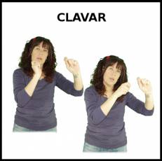 CLAVAR - Signo