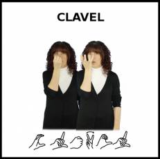 CLAVEL - Signo