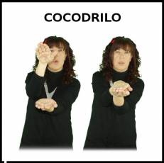 COCODRILO - Signo