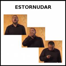ESTORNUDAR - Signo