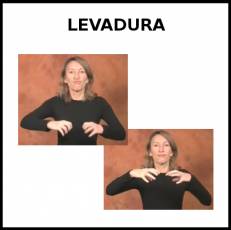 LEVADURA - Signo