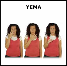 YEMA (HUEVO) - Signo
