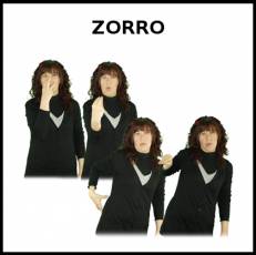 ZORRO - Signo