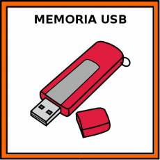 MEMORIA USB - Pictograma (color)