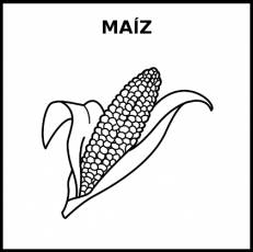 MAÍZ - Pictograma (blanco y negro)