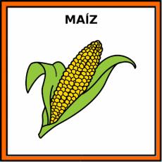 MAÍZ - Pictograma (color)