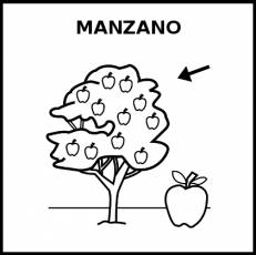 MANZANO - Pictograma (blanco y negro)