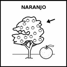 NARANJO - Pictograma (blanco y negro)