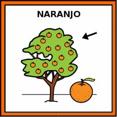 NARANJO - Pictograma (color)