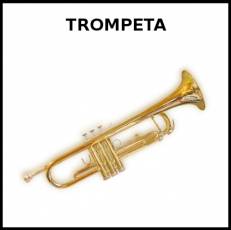 TROMPETA - Foto