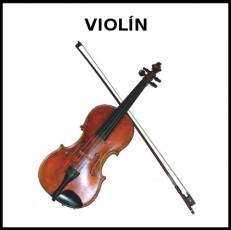 VIOLÍN - Foto