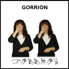GORRIÓN - Signo