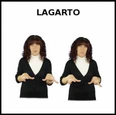 LAGARTO - Signo