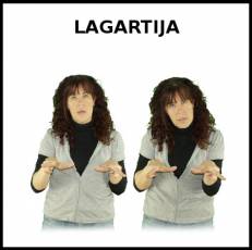 LAGARTIJA - Signo