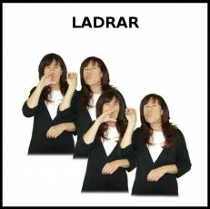 LADRAR - Signo