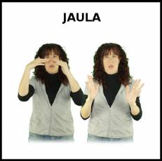 JAULA - Signo