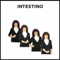 INTESTINO - Signo