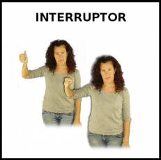 INTERRUPTOR - Signo