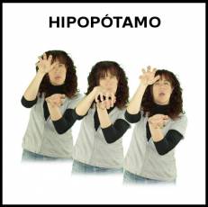 HIPOPÓTAMO - Signo