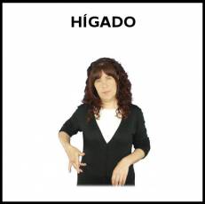 HÍGADO (ÓRGANO) - Signo