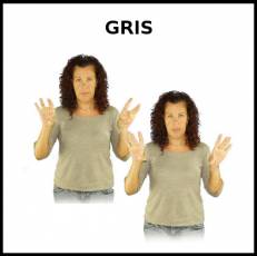 GRIS - Signo