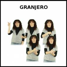 GRANJERO - Signo