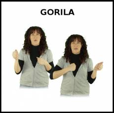 GORILA - Signo