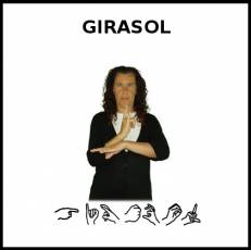 GIRASOL - Signo